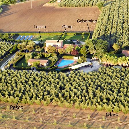 Podere Campi Al Mare Donoratico Bagian luar foto